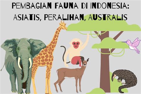 Pembagian Fauna Di Indonesia Asiatis Peralihan Australis