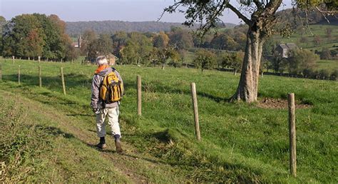 Choose from more than 148 properties, ideal house rentals for families, groups and couples. "VOERSTREEK 3"