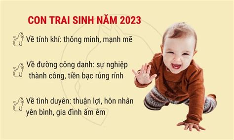 Đặt Tên Con Trai đẹp 2023 Họ Phan Hay ý Nghĩa And Hợp Bố Mẹ