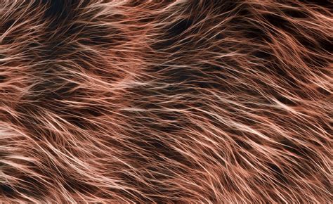 Background Fur Hair Texture Free Stock Photo Public Domain Pictures