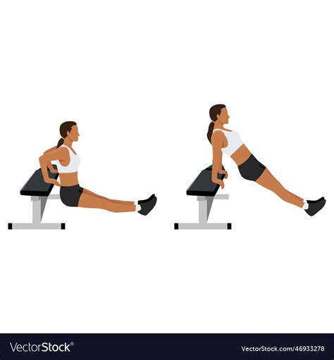 Woman Doing Bench Tricep Dips Exercise Flat Vector Image