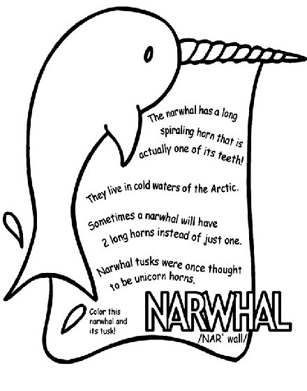 Unicorn and narwhal coloring book: Narwhal Coloring Page | crayola.com