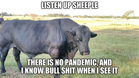 Listen Up Sheeple Imgflip