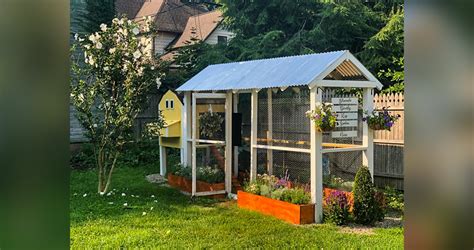 Aenean massa fringilla vel, aliquet nec, vulputate eget, arcu.in enim justo, rhoncus. Backyard Urban Chicken Coop - Project by John at Menards®