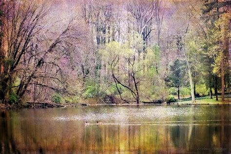 Wisteria Pond Surreal Dreamy Landscape Photograph By Melissa Bittinger