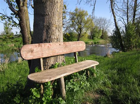 Girokonto kann künftig 4,90 euro kosten. Kostenlose foto : Baum, Natur, Holz, Bank, Sitz, Frühling ...