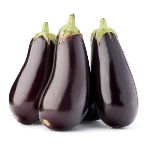13 Best Italian Eggplant Varieties To Consider Growing