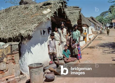 Image Of Village Life In Village In Tamil Nadu South India Photo