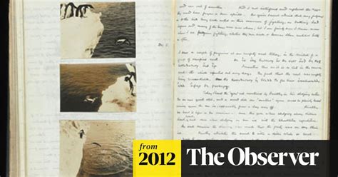 Til Male Penguins Have Been Observed Having Sex With Other Male