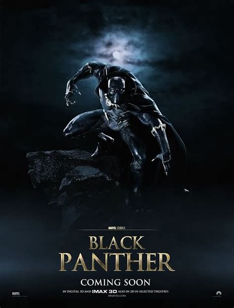 Poster Black Panther 2018 Poster Pantera Neagră Poster 30 Din 32