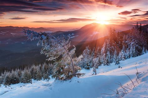Glaring Sunshine And Beautiful Winter Snow Scene Stock