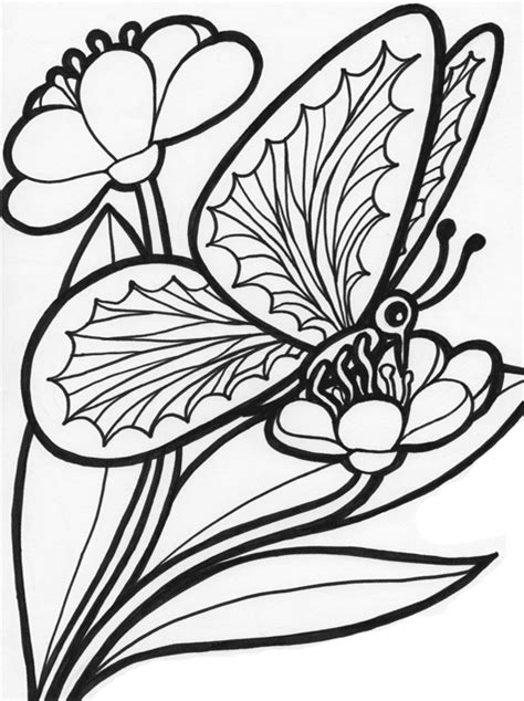 Kids Page Butterfly Coloring Pages Printable Colouring