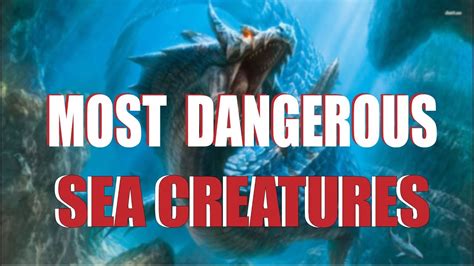 Top 10 Most Dangerous Sea Creatures In The World New Youtube