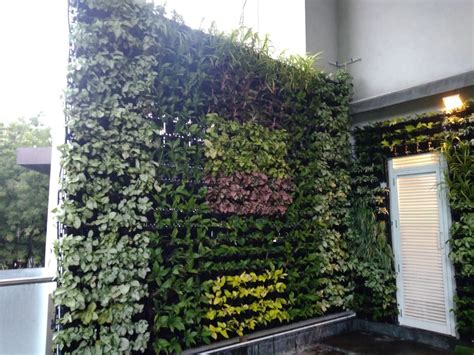Vertical Garden Wall Green Living Wall Artificial Garden Wall