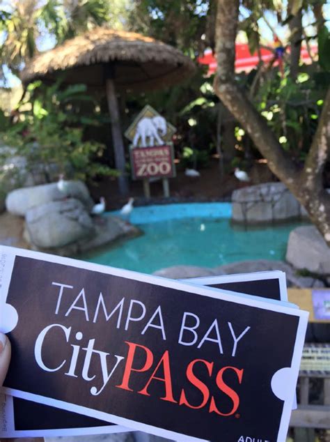 Visit Tampa Bays Top Attractions With Citypass Florida Bloggess