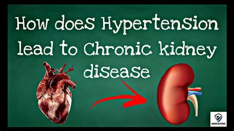 How Hypertension Leads To Chronic Kidney Disease Pathophysiology Of