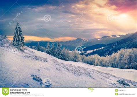 Beautiful Winter Sunrise In The Mountains Stock Photo Image Of Frost