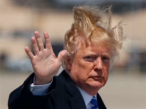 The 21 Best Memes Of Trumps Presidency So Far