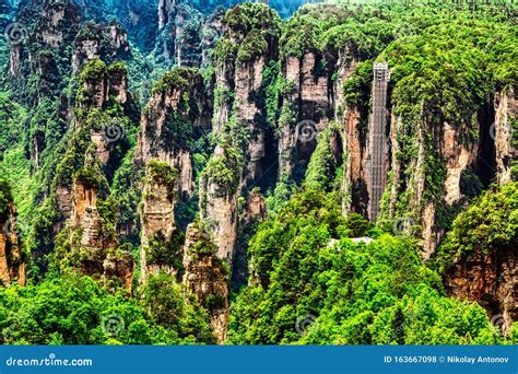 Zhangjiajie National Forest Park Gigantic Quartz Pillar Mountains