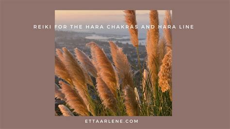 Reiki Energy Healing For The Hara Chakras And Hara Line Youtube