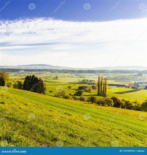 Pastures And Meadows In Switzerland Stock Photo Image Of Forest