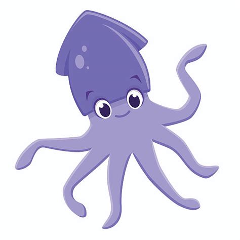 Squid Illustrations Royalty Free Vector Graphics And Clip