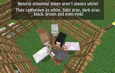 In minecraft pe there are many types of dyes. How to Build a Wool-Dye Workshop to Create Wool of Any ...