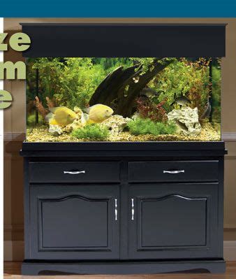 Wood stands for acrylic fish tanks with cabinets, canopies and custom options. Aquarium Stands and Canopies: Showcase Your Aquarium with ...