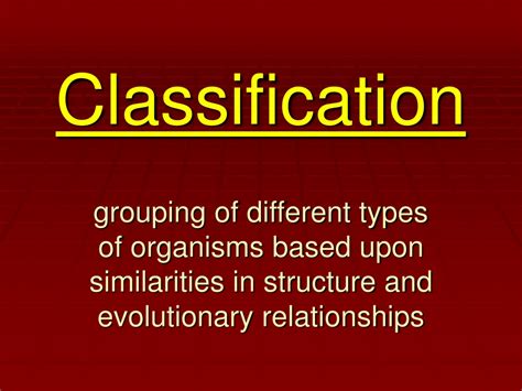 Ppt Classification Powerpoint Presentation Free Download Id9167122