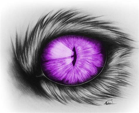 Cool Domestic Cats House Cat Eye Drawing Drawing By Brittany Salzone