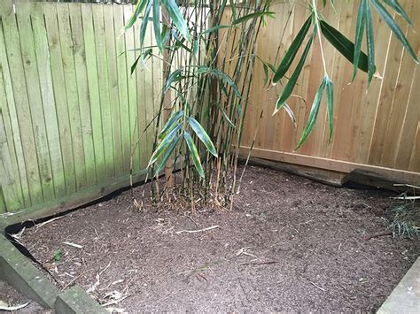 Rhizome Bamboo Barrier 80 Mil Thickness Rhizome Barrier Supply