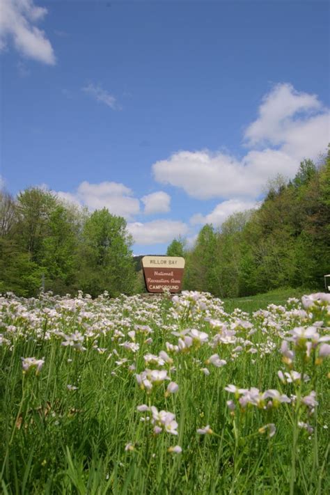Staying in cook forest in the midst of the pennsylvania wilds offers great access to all of the recreational adventure in the allegheny national forest, clear creek state park, and clear creek state forest. Willow Bay Recreation Area | Allegheny Site Management ...