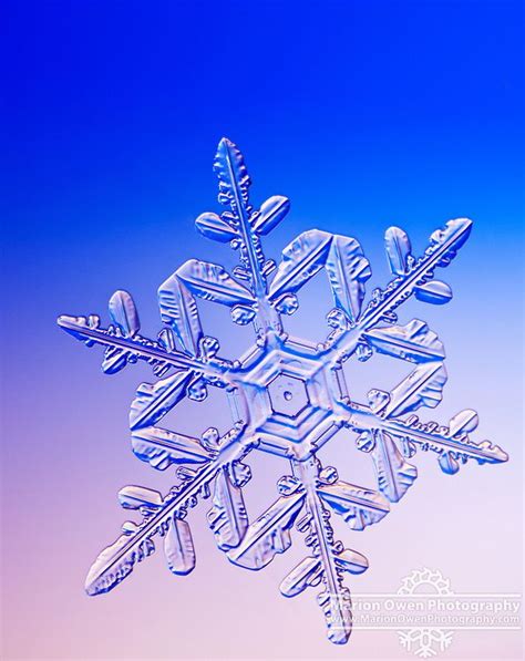 Extreme Macro View Of Real Snowflake Marion Owen Photography