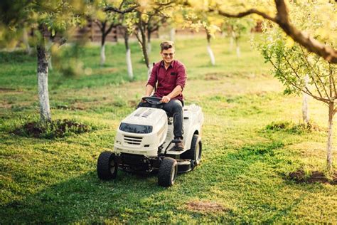 Man Using Lawn Mower And Cutting Grass During Landscaping Works Stock