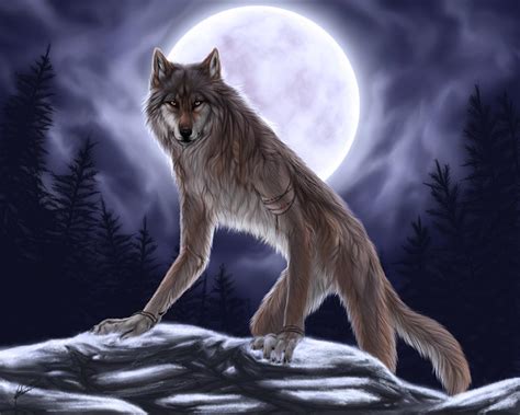 Werewolf Fantasy Photo 31034491 Fanpop