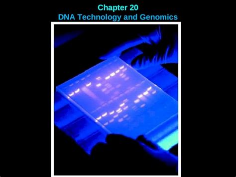 Ppt Chapter 20 Dna Technology And Genomics Dna Cloning Dna Probe