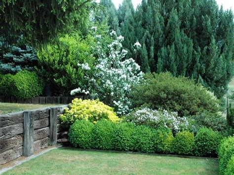 You want to dig a hole about twice the size of the root ball. Privacy plants - a living fence for your outdoor area