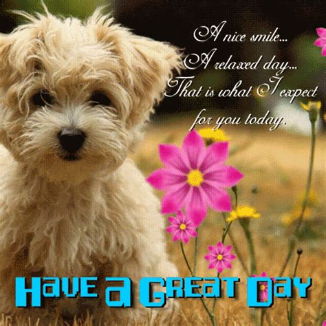 • last updated 10 weeks ago. A Cute And Great Day Card For You. Free Have a Great Day ...