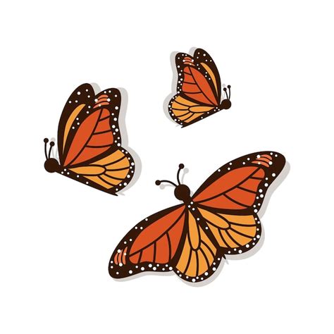Premium Vector Beautiful Orange Monarch Butterflies Side And Top View