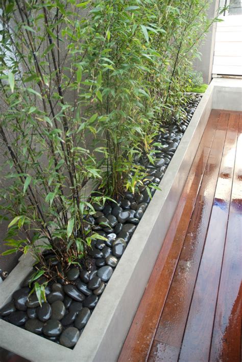 Bamboo Landscaping Guide Design Ideas Pro Tips Install It Direct