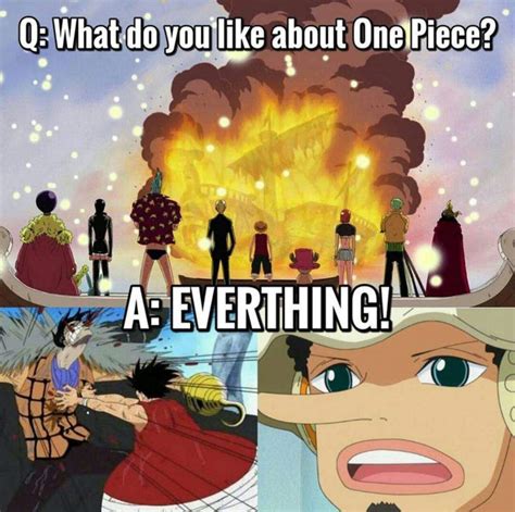 The Best Memes Ever One Piece Amino