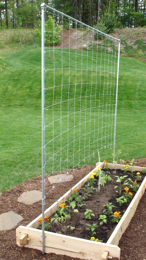 How To Build A Vertical Vegetable Garden Diy Garden Trellis Vertical