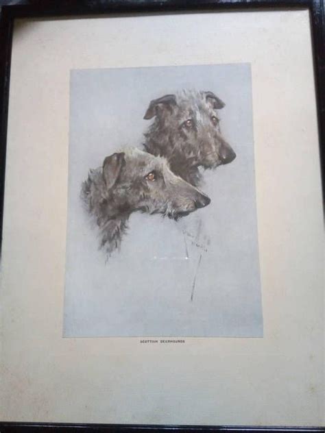 Beautiful Framed Arthur Wardle Scottish Deerhounds Dog Etsy Uk