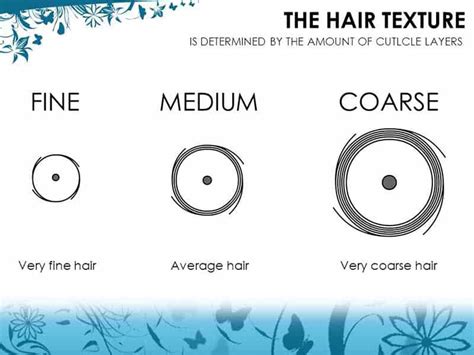 Answered Your Most Burning Questions About Width Of Human Hair
