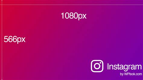 What Is The Instagram Photo Size Wplook Themes