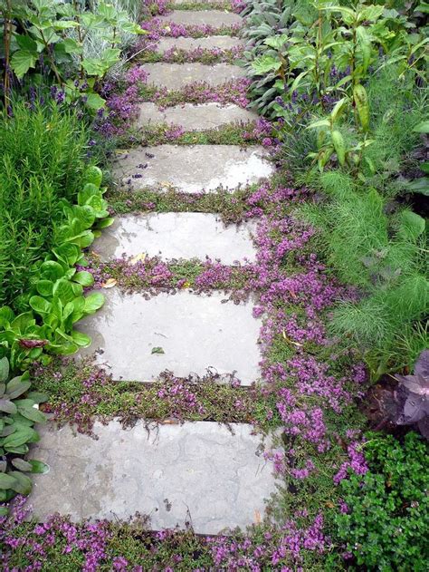 Stunning Love This Idea Flowering Ground Cover Between Flagstone