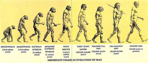 Evolution Of Humans With Names