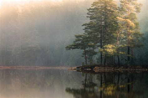 1200x800 Landscape Nature Mist Lake Forest Sunrise Trees Reflection