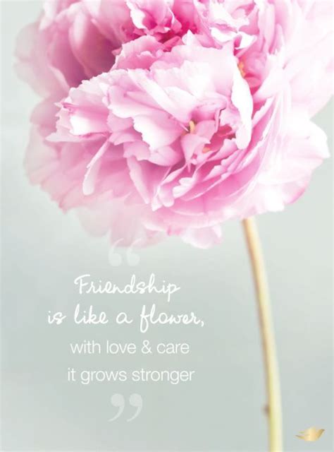 Friendship Is Like A Flower With Love And Care It Grows Stronger