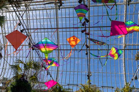 Spring Flower Show 2021 Canopy Of Color Phipps Conservatory And